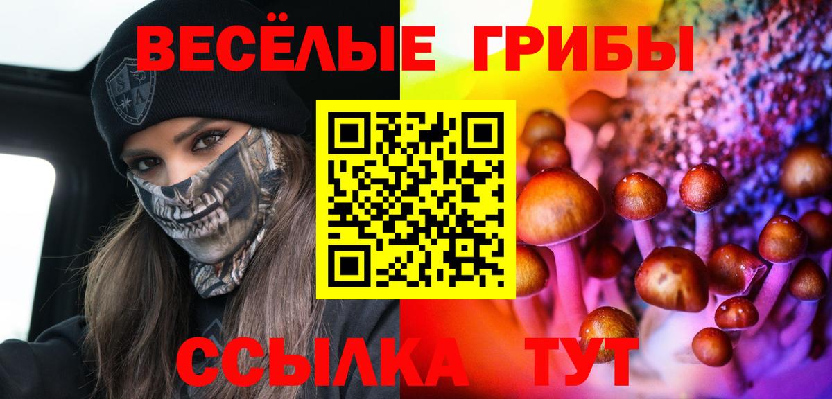 Псилоцибиновые грибы Psilocybe  Вход с VPN  Галлюциногенные грибы ЛСД  Избербаш 