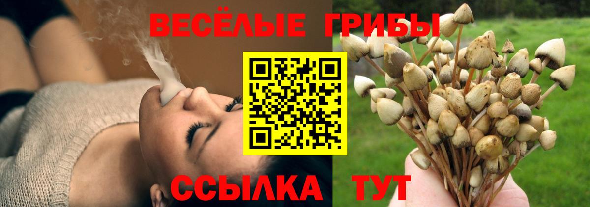 Галлюциногенные грибы мухоморы Избербаш